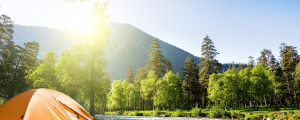 Effective Strategies for Reducing Stress and Anxiety